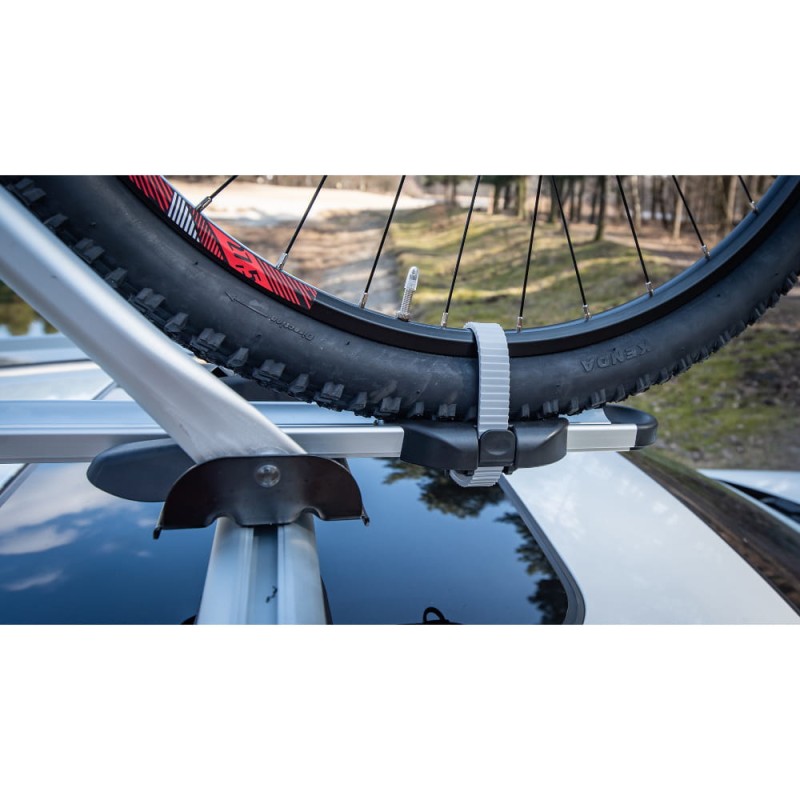 Bike_Up_pro_6_83d028c5a280ea0bfb202cababa2f899.jpg