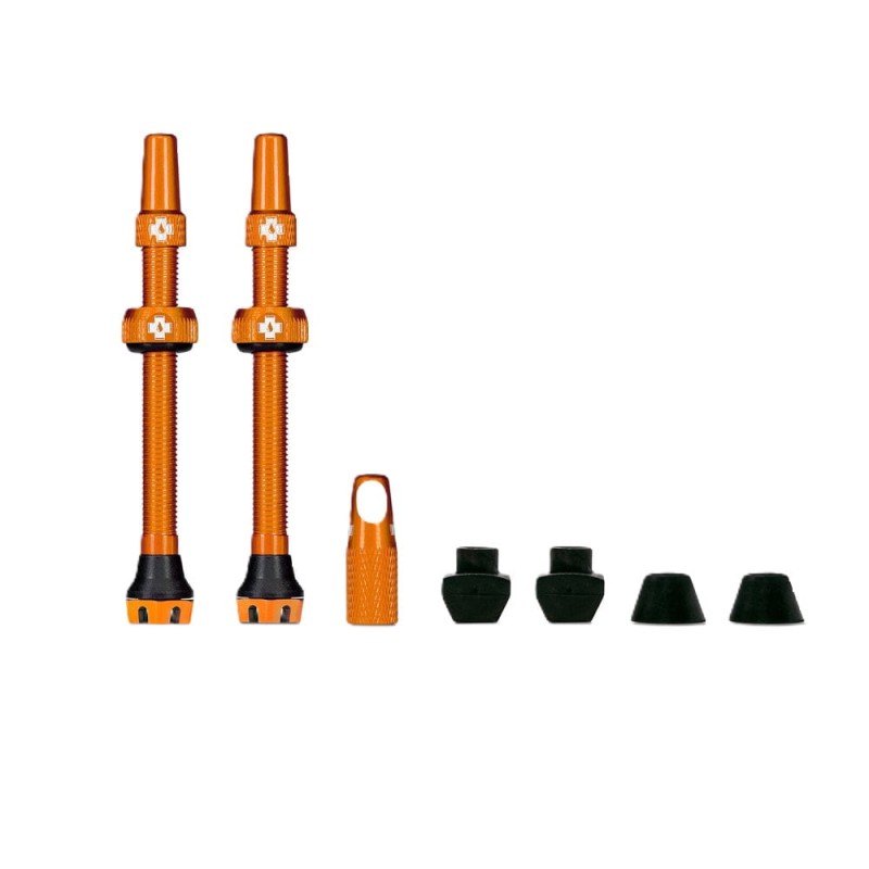 Web_ORANGE_TUBELESS_PRESTA_VALVE__PAIR__2021_eaa10d44-ff3f-45d6-bb3c-3d075cd2efc0_1000x1000.jpg