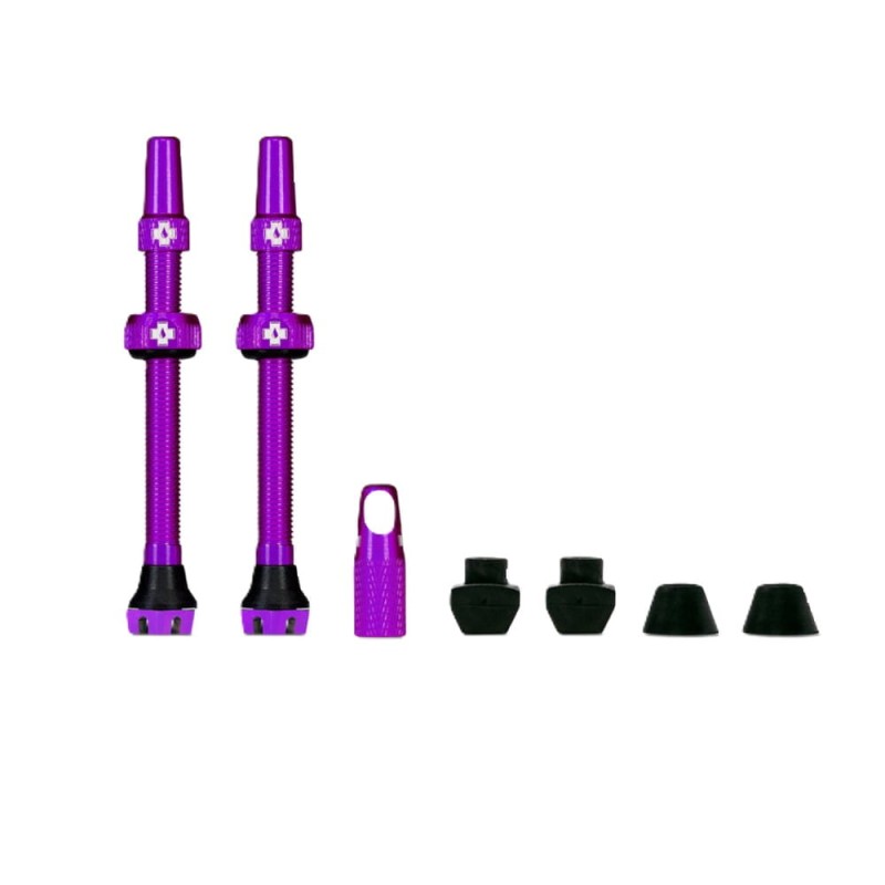 Web_PURPLE_TUBELESS_PRESTA_VALVE__PAIR__2021_c6b7d99a-1f53-47dd-b362-d99ba5271a5c_850x850_crop_center (1) (1).jpg