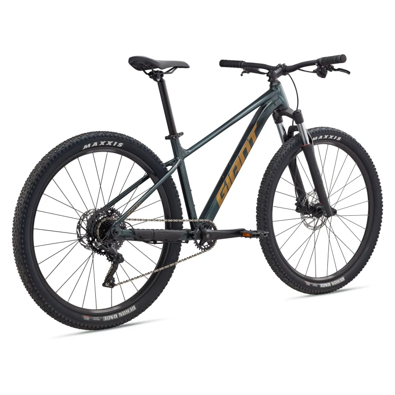 Rower MTB Giant Talon 2 Asphalt Green - widok z tyłu