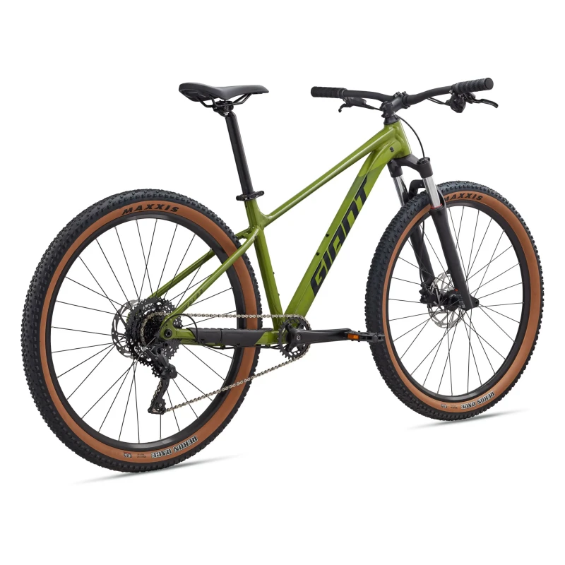 Rower MTB Giant Talon 2 Dried Matcha - widok z tyłu