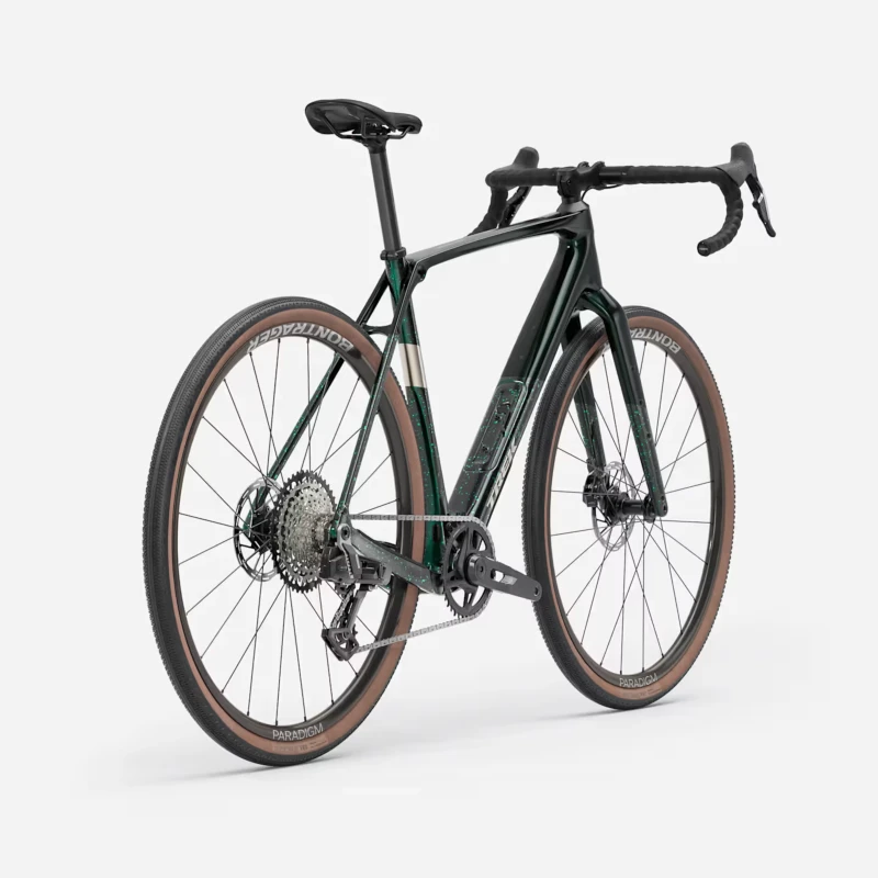 Rower gravel Trek Checkpoint SL 6 AXS Gen 3 Zielony - widok z tyłu