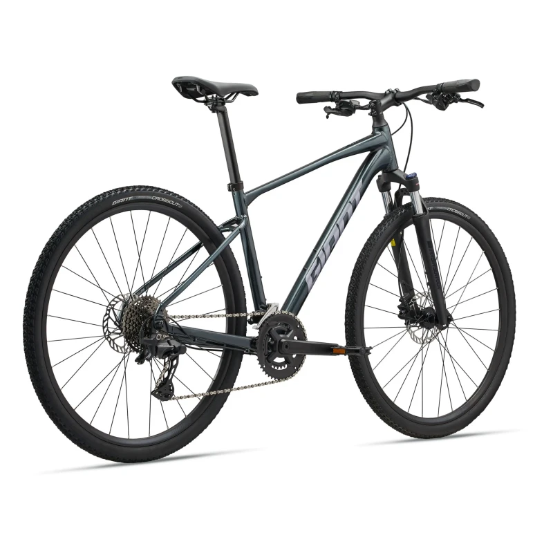 Rower crossowy Giant Roam 2 Asphalt Green - widok z tyłu