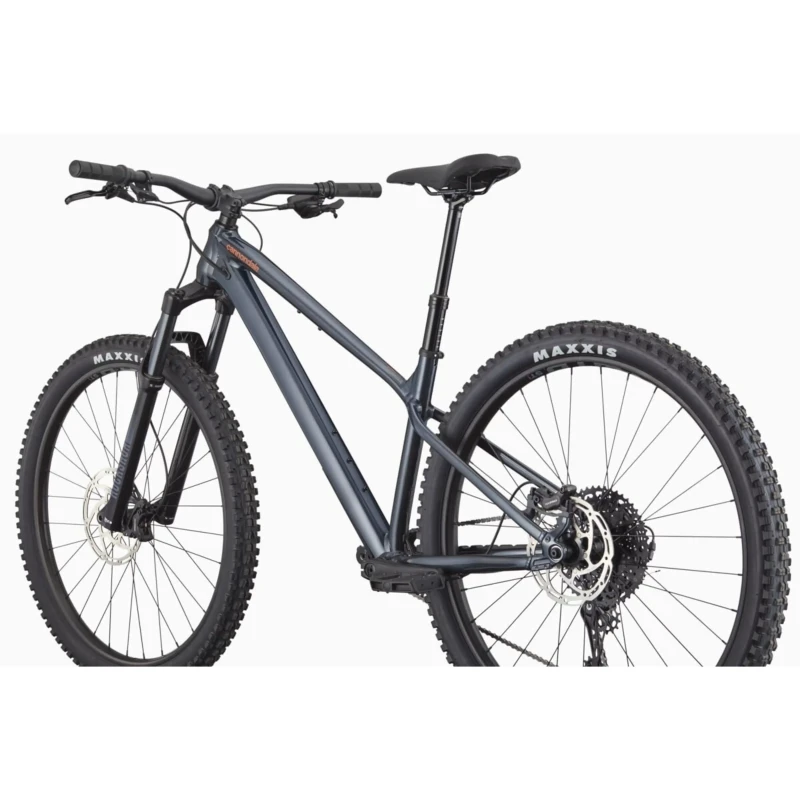 Rower MTB Cannondale Habit HT 1 Tungsten Blue - widok z tyłu