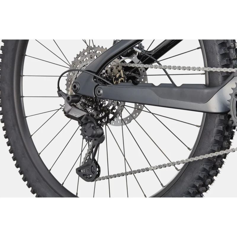 Rower elektryczny Cannondale Moterra Carbon 2 Zielony - widok piasty i łańcucha