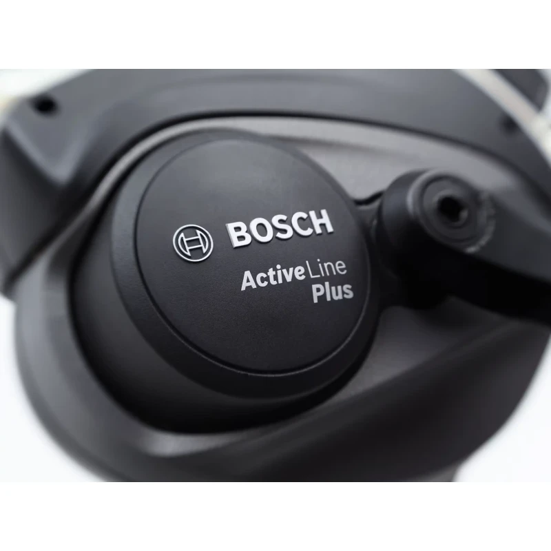 Rower elektryczny Electra Townie Go! 5i EQ Zielony