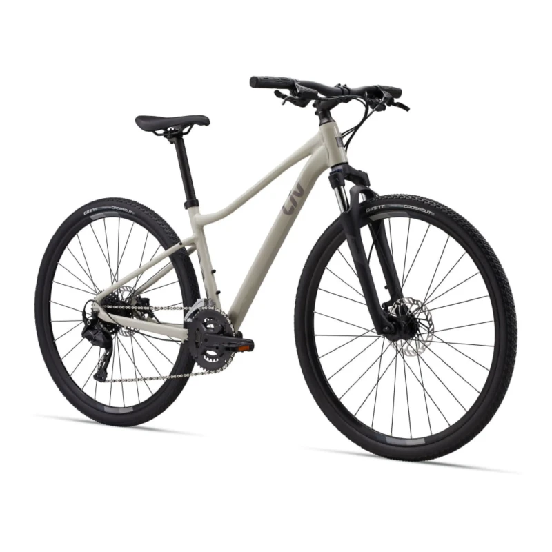 Rower crossowy Liv Rove 3 Pulp Gray - widok z przodu