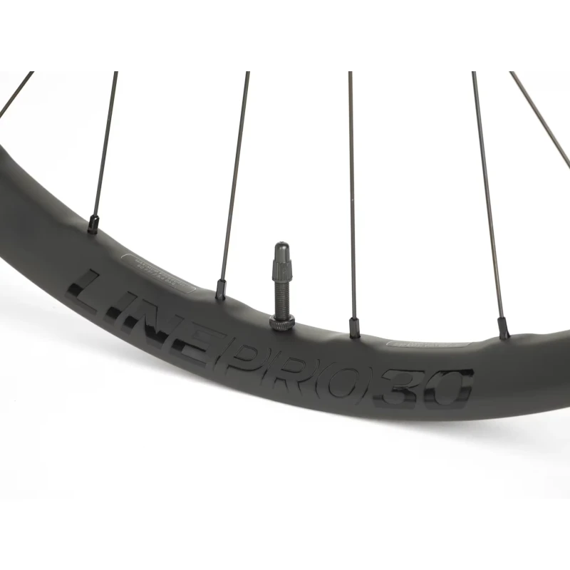 kolo-tylne-bontrager-line-pro-30-tlr-boost-29-3.webp