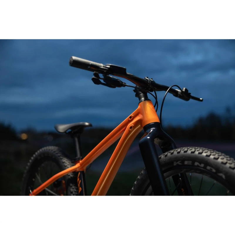 rower-dzieciecy-giant-stp-20-pomaranczowy-11.webp