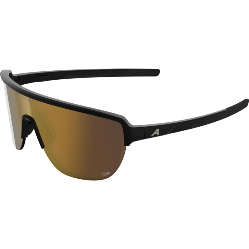 okulary-alpina-ram-2-0-q-lite-black-matt-gold-1.webp