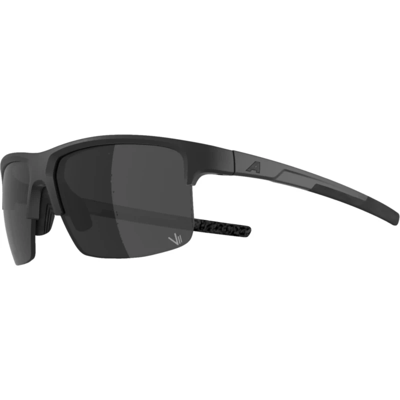 okulary-alpina-eagle-q-lite-black-matt-silver-2.webp