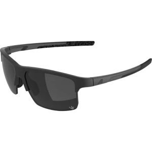 Okulary Alpina Eagle Q-Lite Black Matt/Silver