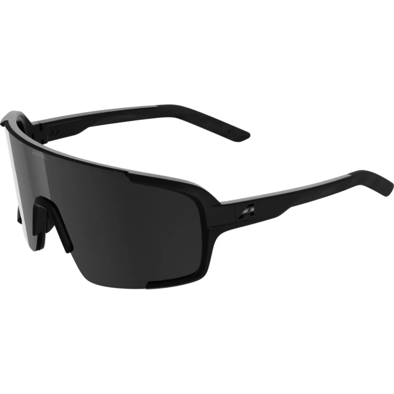 okulary-alpina-lumin-black-matt-black-1.webp