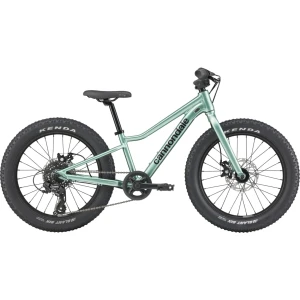 Rower dziecięcy Cannondale Kids Trail Plus 20" Turkusowy