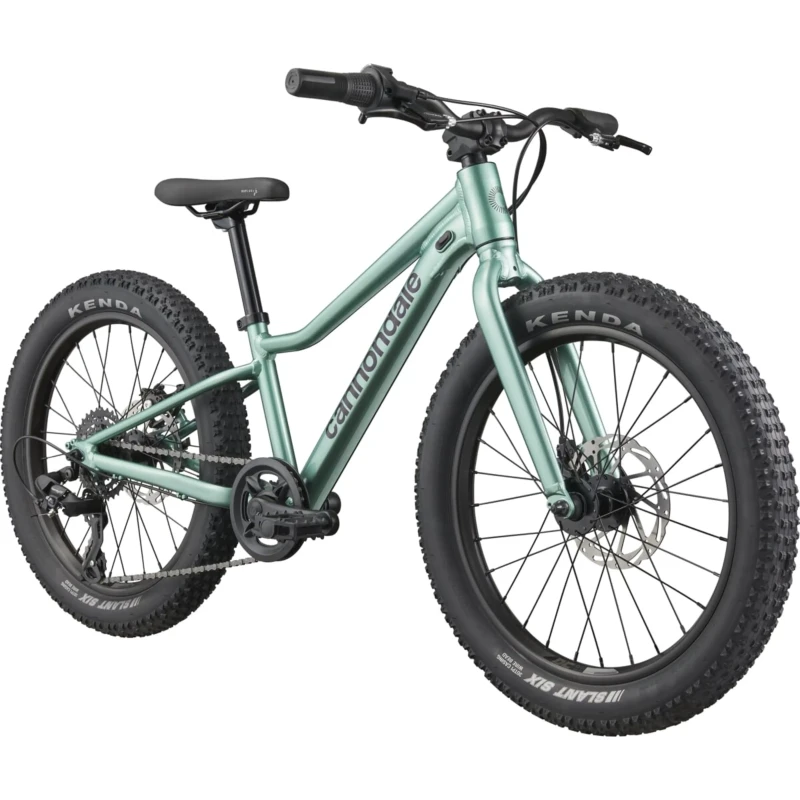 rower-dzieciecy-cannondale-kids-trail-plus-20-turkusowy-2.webp
